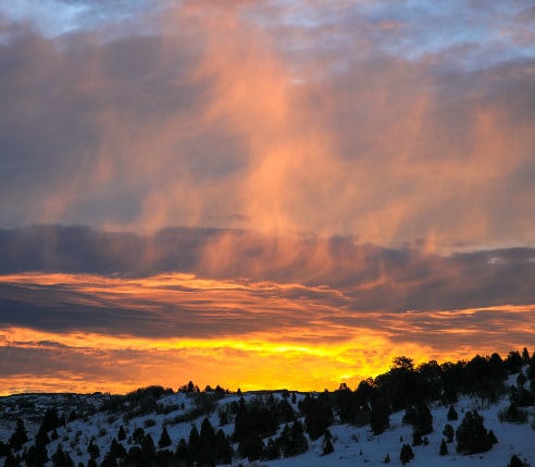 Dawn