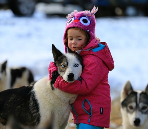 Husky Farm, Russia