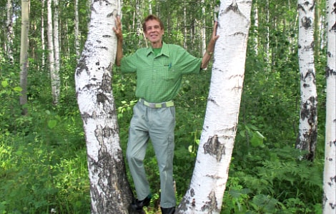 Forest