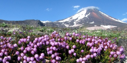 Kamchatka, Russia