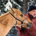 A Mongolian man with a horse