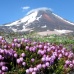 Kamchatka, Russia