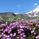 Kamchatka, Russia