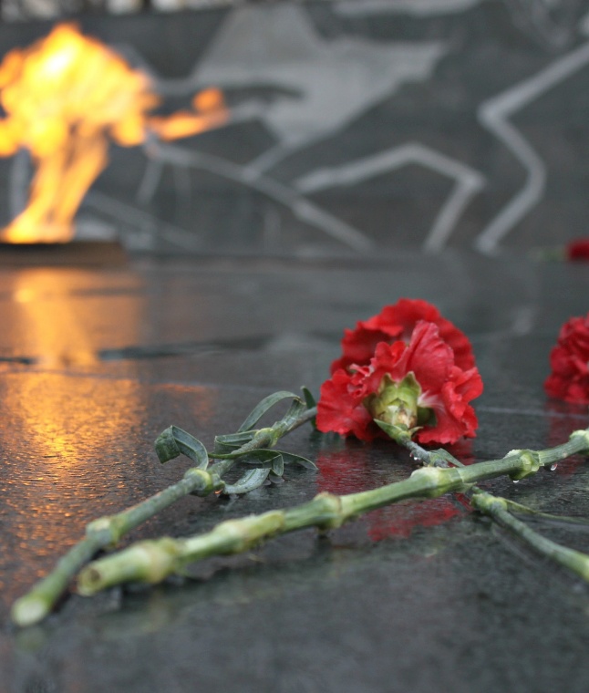 2015 Victory Day in Russia